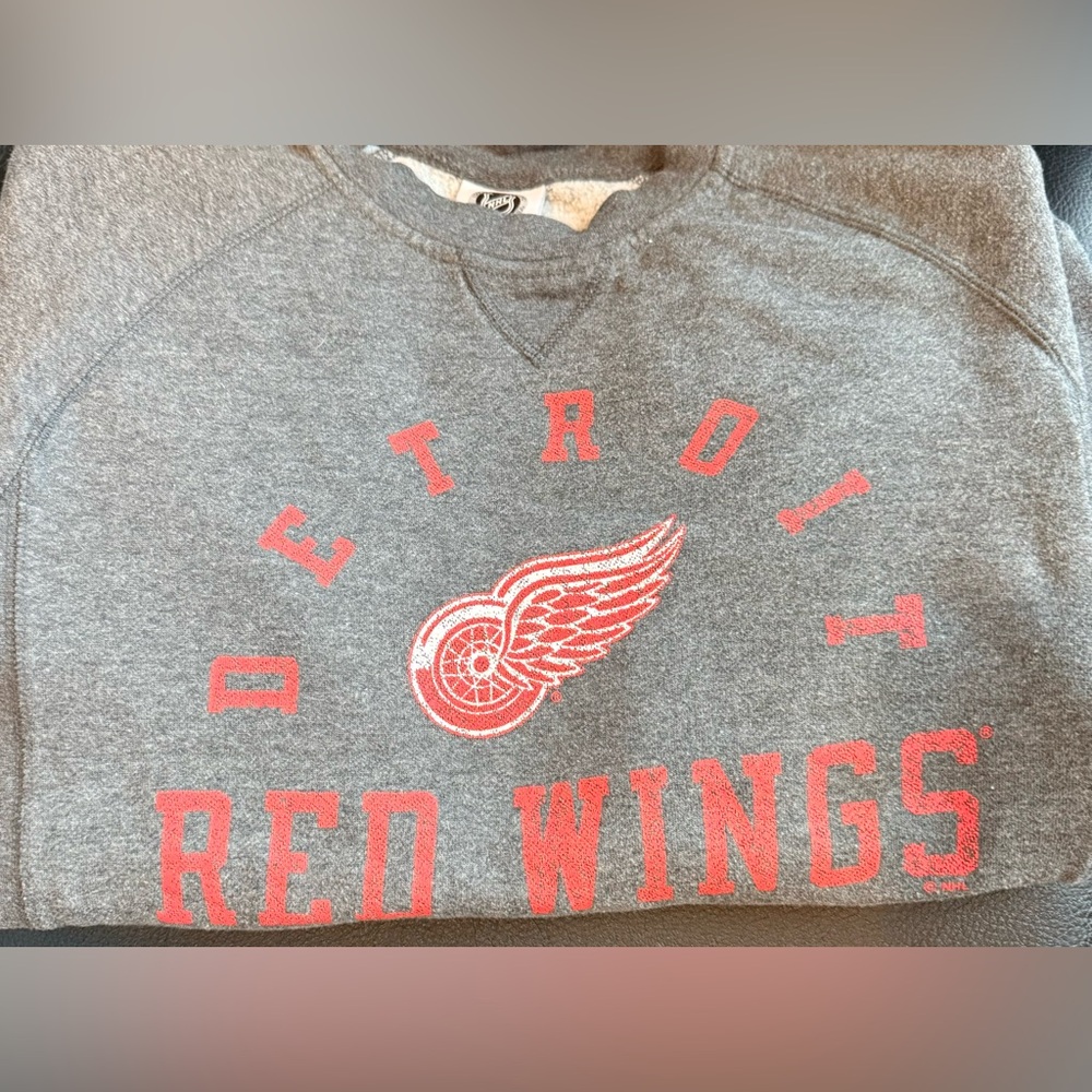 NHL Gray and Red Detroit Red Wings Sweatshirt Men’s Size M